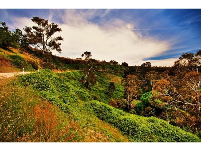 239 Hepburn-Newstead Road, Shepherds Flat VIC 3461