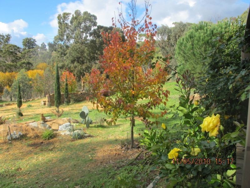 239 Hepburn-Newstead Road, Shepherds Flat VIC 3461