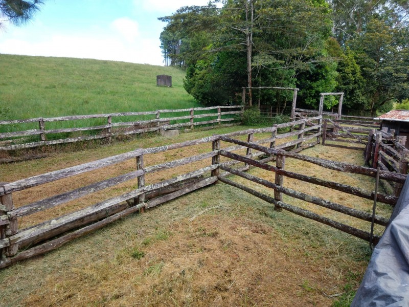 111 Greenwood Rd, Ravenshoe QLD 4888