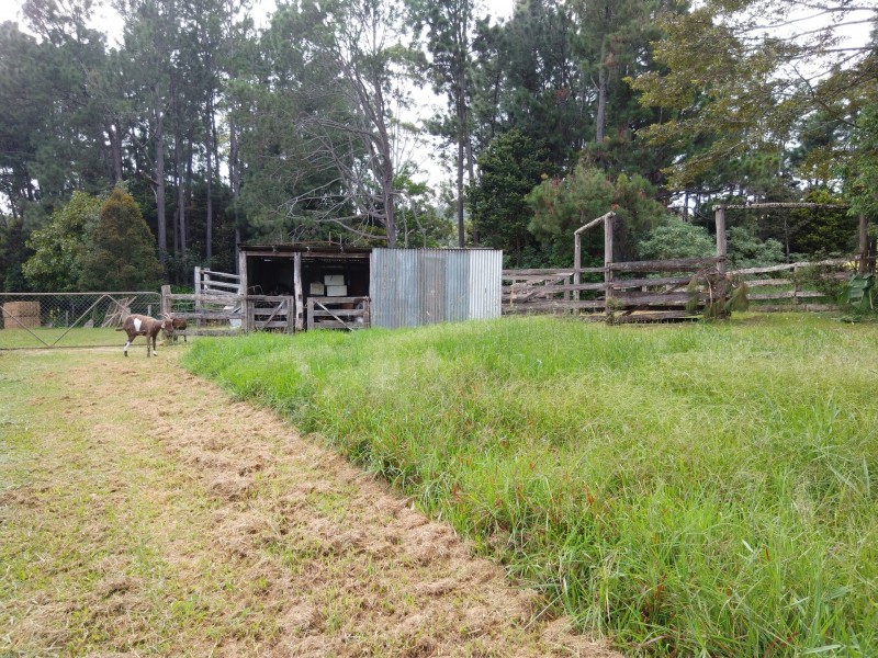 111 Greenwood Rd, Ravenshoe QLD 4888