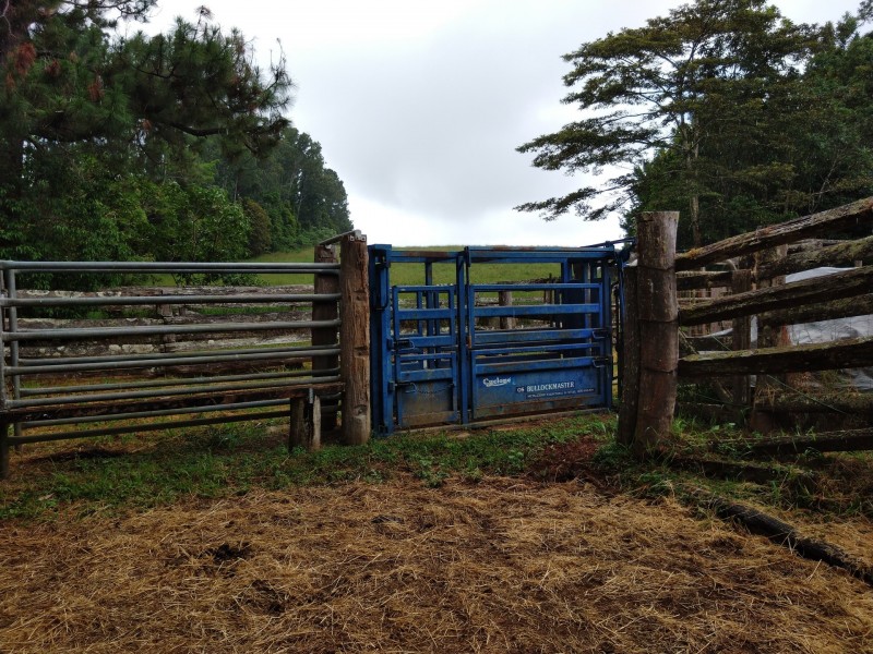 111 Greenwood Rd, Ravenshoe QLD 4888