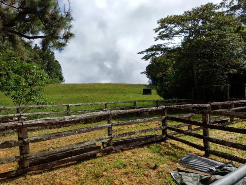 111 Greenwood Rd, Ravenshoe QLD 4888