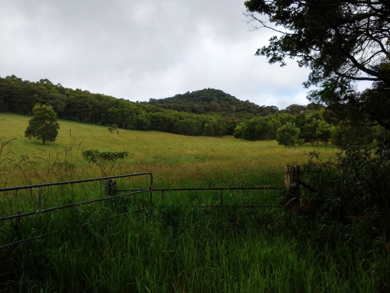 111 Greenwood Rd, Ravenshoe QLD 4888