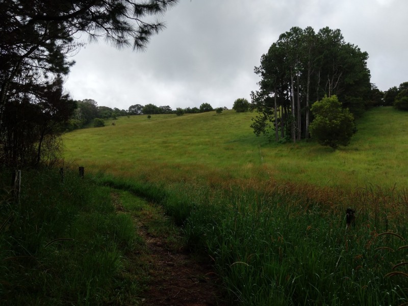 111 Greenwood Rd, Ravenshoe QLD 4888