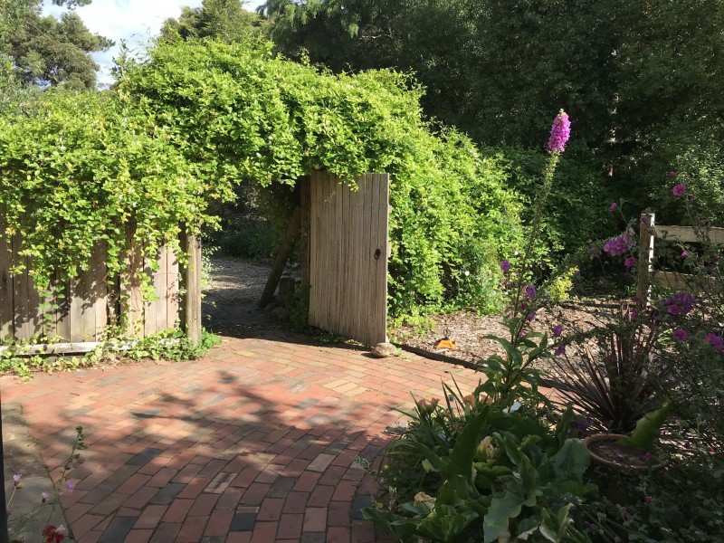 13511 Highland Lakes Rd, Golden Valley TAS 7304