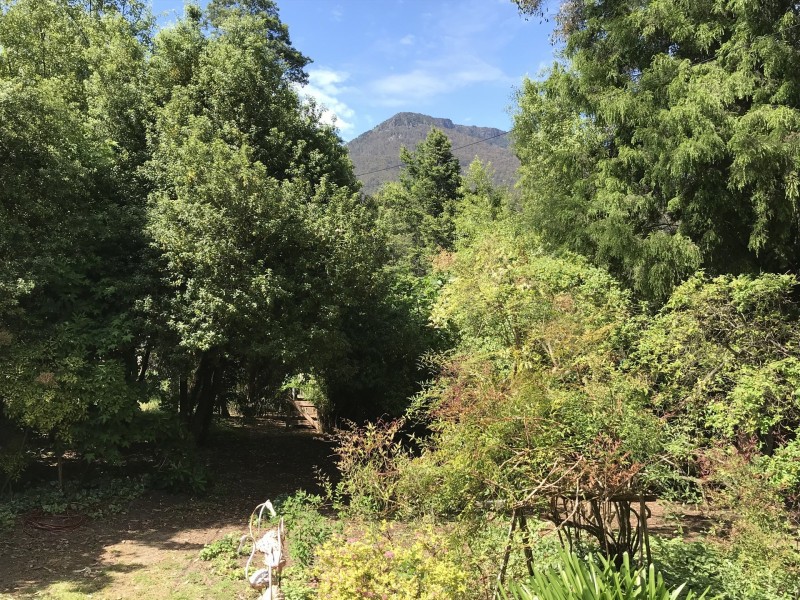 13511 Highland Lakes Rd, Golden Valley TAS 7304