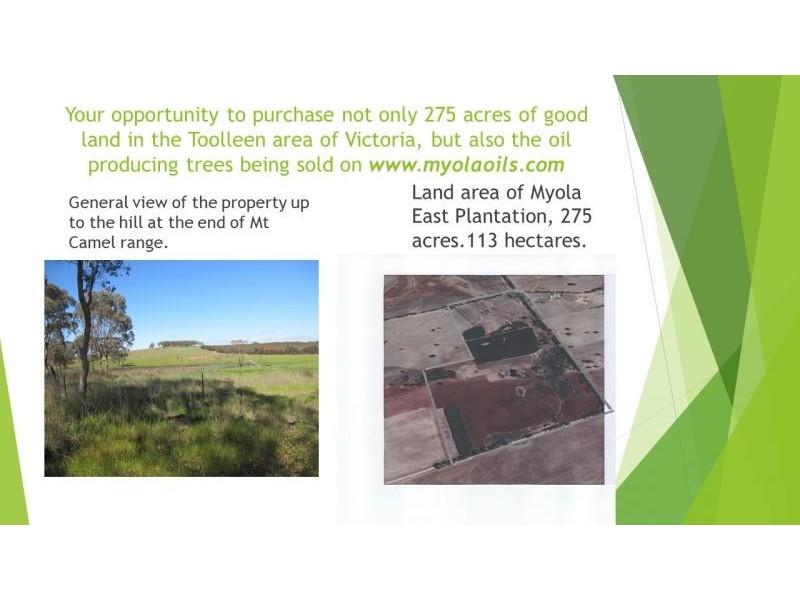 314 Lampard road, Toolleen VIC 3551