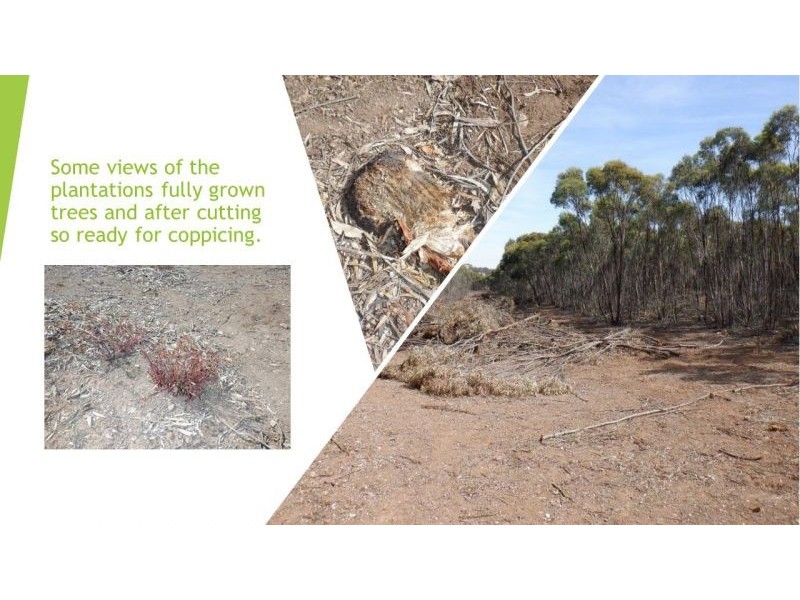 314 Lampard road, Toolleen VIC 3551