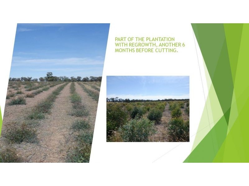 314 Lampard road, Toolleen VIC 3551