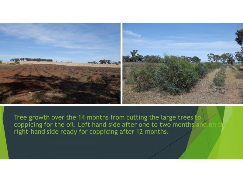 314 Lampard road, Toolleen VIC 3551