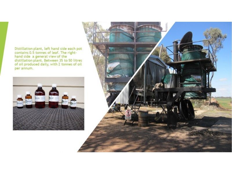 314 Lampard road, Toolleen VIC 3551