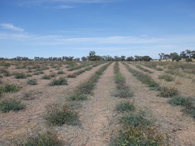 314 Lampard road, Toolleen VIC 3551