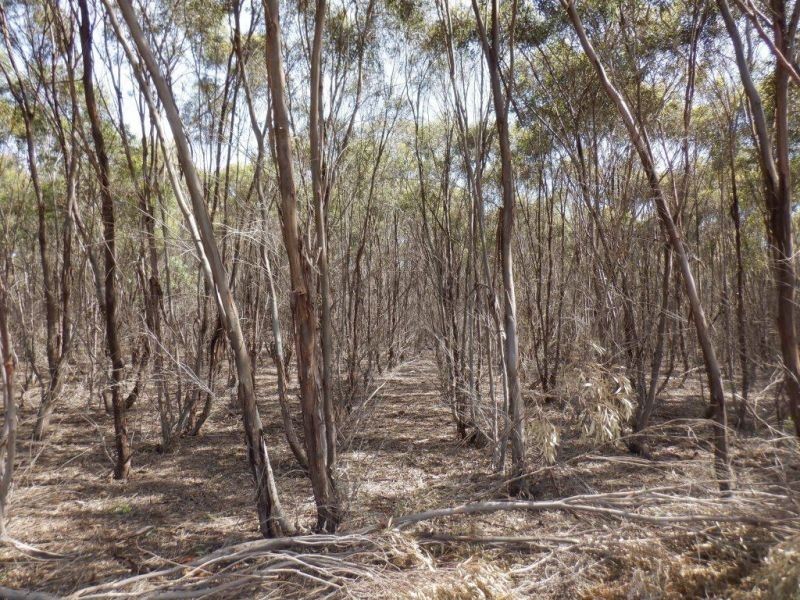 314 Lampard road, Toolleen VIC 3551