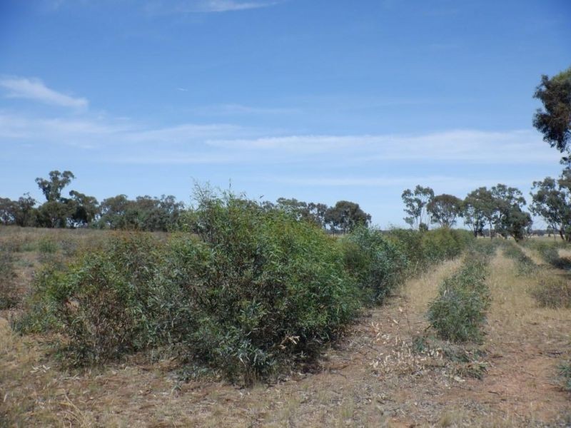 314 Lampard road, Toolleen VIC 3551