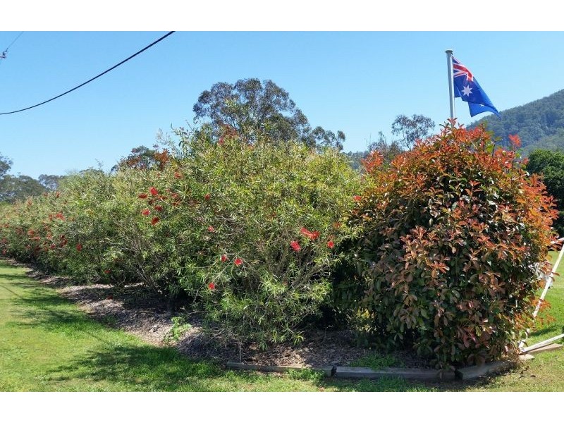 6 Main Street, Ellenborough NSW 2446