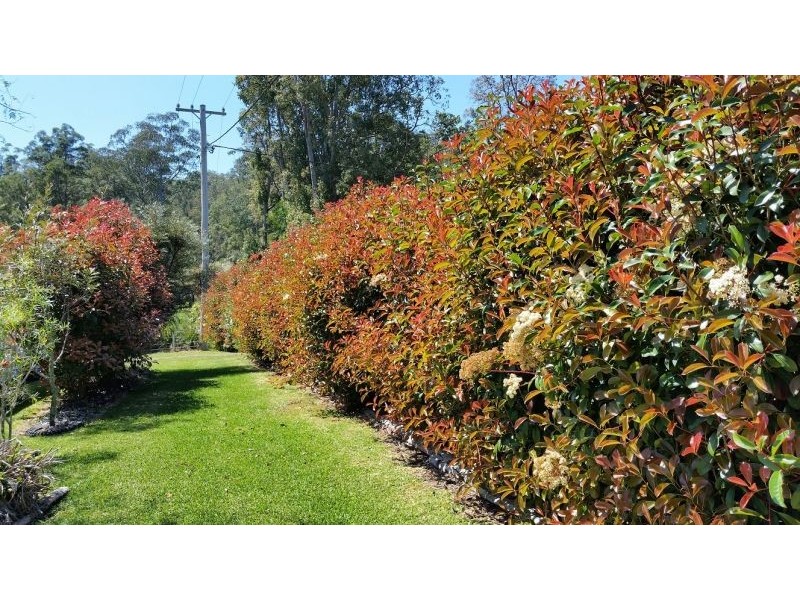 6 Main Street, Ellenborough NSW 2446