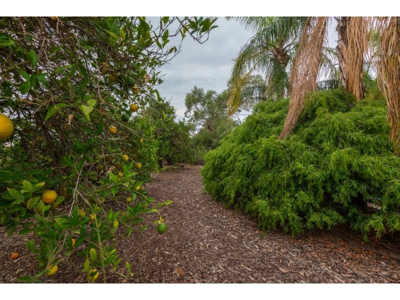 3235 Fifteenth Street, Irymple VIC 3498