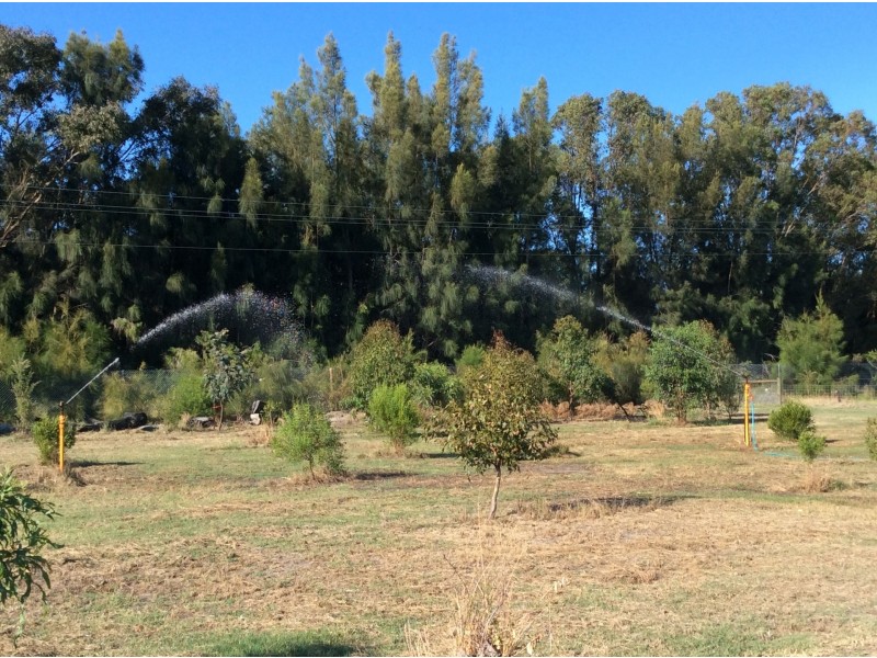 142 Norwood Pass, Vasse WA 6280