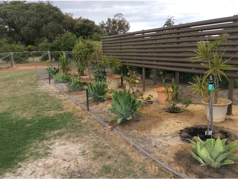 142 Norwood Pass, Vasse WA 6280