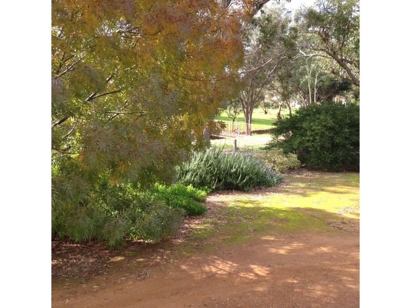 17 Gordon St, Kojonup WA 6395