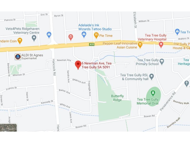 6a Newman Avenue, Tea Tree Gully SA 5091