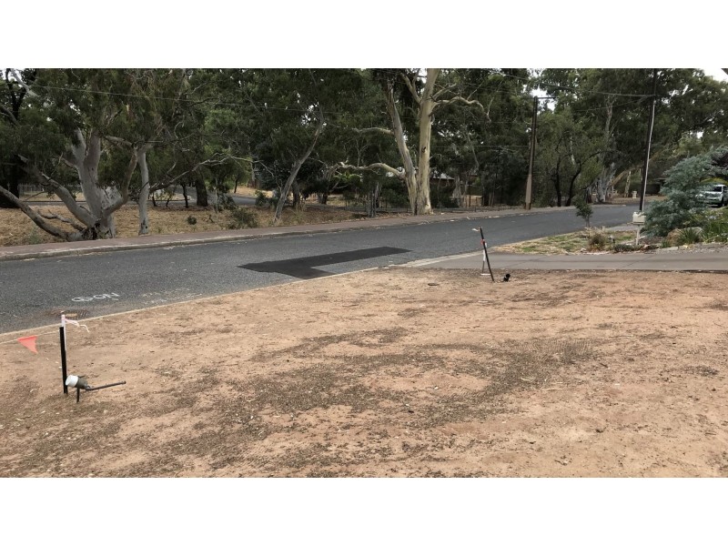 6a Newman Avenue, Tea Tree Gully SA 5091