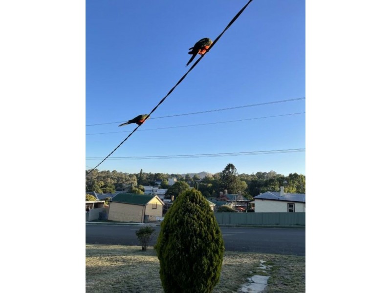 14 Tongio Rd, Omeo VIC 3898