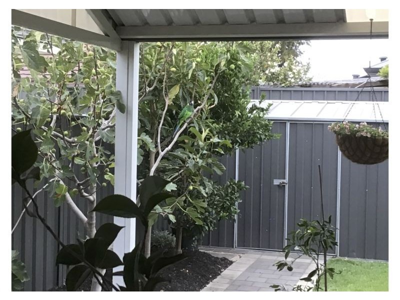 8a Calvert Loop, Hilbert WA 6112