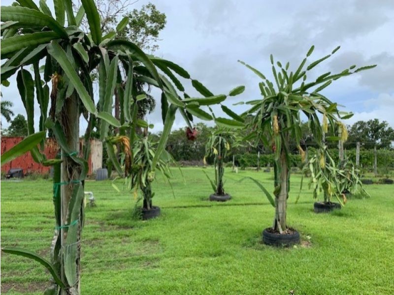 115 Hughes Road, Hughes NT 0837