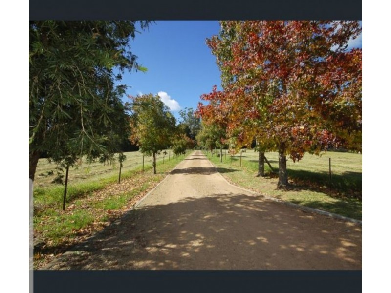 255 Cooks Road, Elands NSW 2429