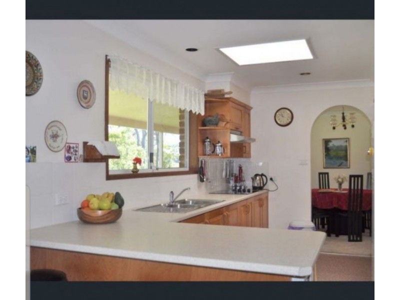255 Cooks Road, Elands NSW 2429