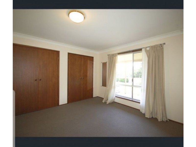 255 Cooks Road, Elands NSW 2429