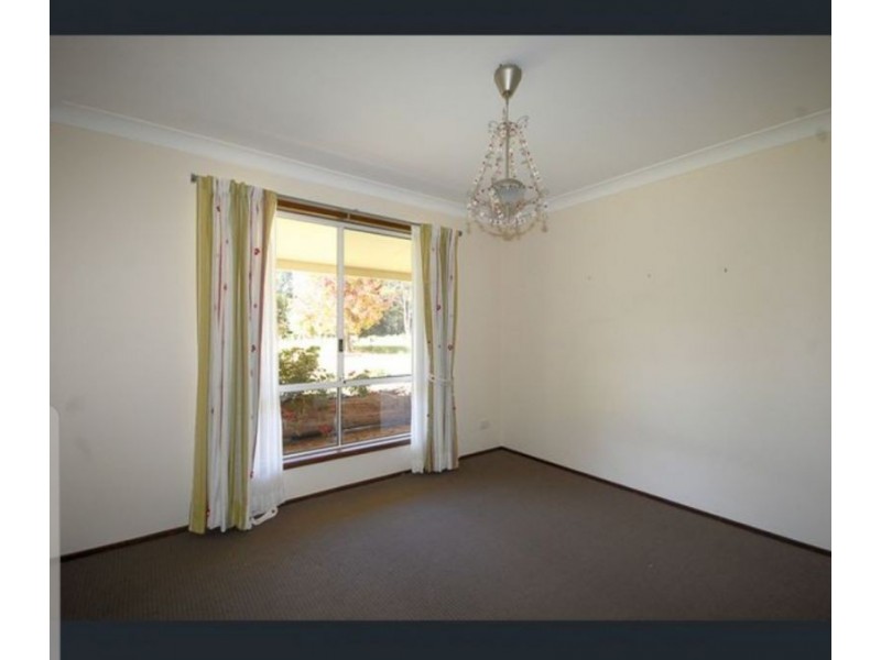 255 Cooks Road, Elands NSW 2429