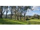 255 Cooks Road, Elands NSW 2429