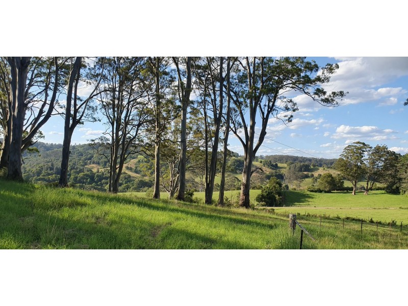 255 Cooks Road, Elands NSW 2429