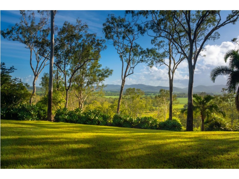 1651 Geeberga Buthurra Road, Mount Ossa QLD 4741
