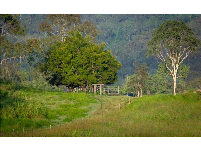 1651 Geeberga Buthurra Road, Mount Ossa QLD 4741
