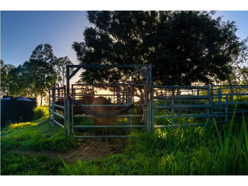 1651 Geeberga Buthurra Road, Mount Ossa QLD 4741