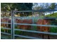 1651 Geeberga Buthurra Road, Mount Ossa QLD 4741
