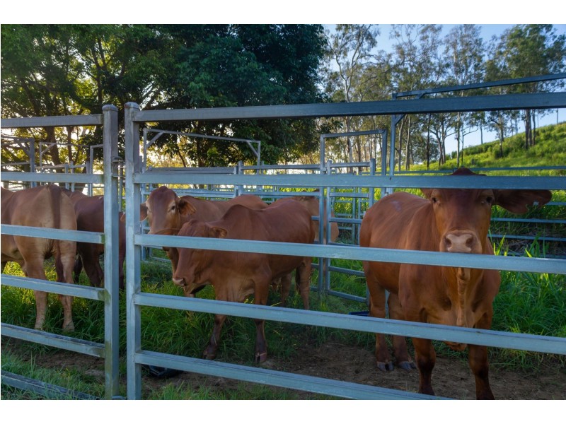 1651 Geeberga Buthurra Road, Mount Ossa QLD 4741