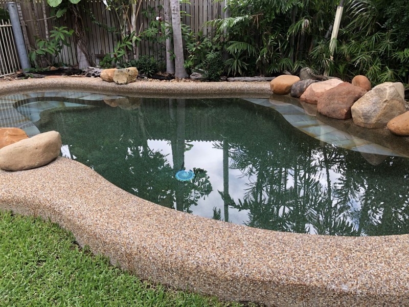 25 Serissa Cres, Annandale QLD 4814