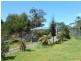 12 whyte street, Zeehan TAS 7469