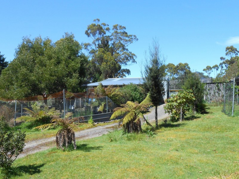 12 whyte street, Zeehan TAS 7469