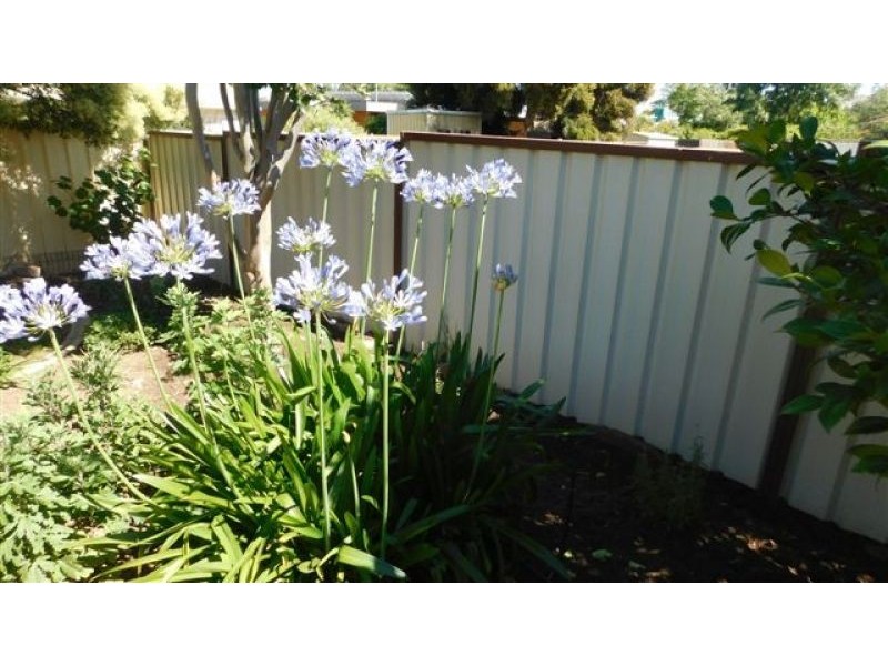 26 Tannabah Street, Coonabarabran NSW 2357