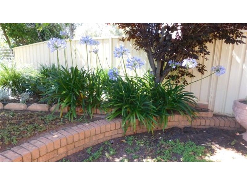 26 Tannabah Street, Coonabarabran NSW 2357