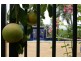 38 Bayview Boulevard, Bayview NT 0820