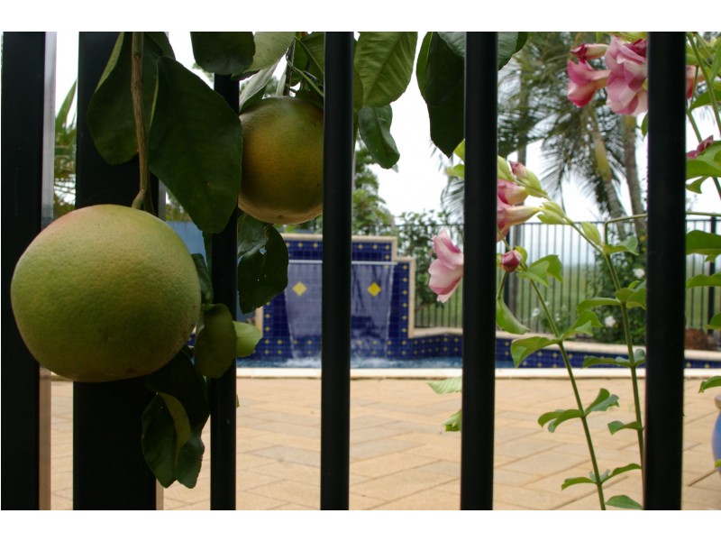 38 Bayview Boulevard, Bayview NT 0820