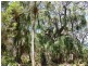 219 Kate Avenue, Deepwater QLD 4674