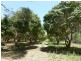 219 Kate Avenue, Deepwater QLD 4674