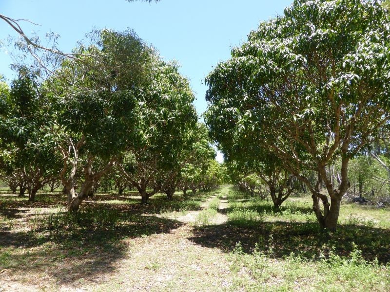 219 Kate Avenue, Deepwater QLD 4674
